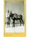 Jeune fellah en tarbouche tenant un âne