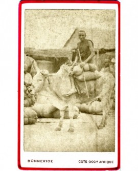 Africain monté sur un zébu avec son chargement